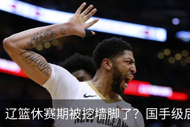 辽篮休赛期被挖墙脚了？国手级后卫恐被交易：变相逼着赵继伟走人